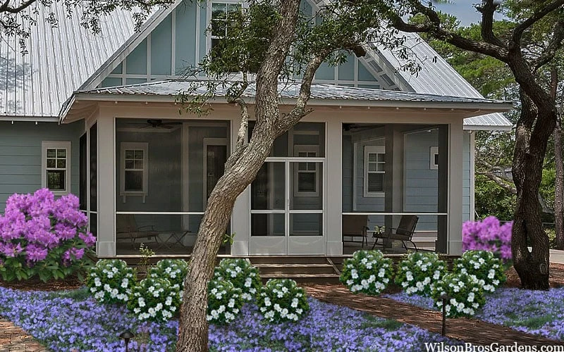 Snow Globe Gardenia - 1 Gallon Pot - Image 6